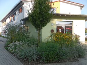 Eine Ansicht der Schule von Vorne, Beete mit herbstlichen Blumen